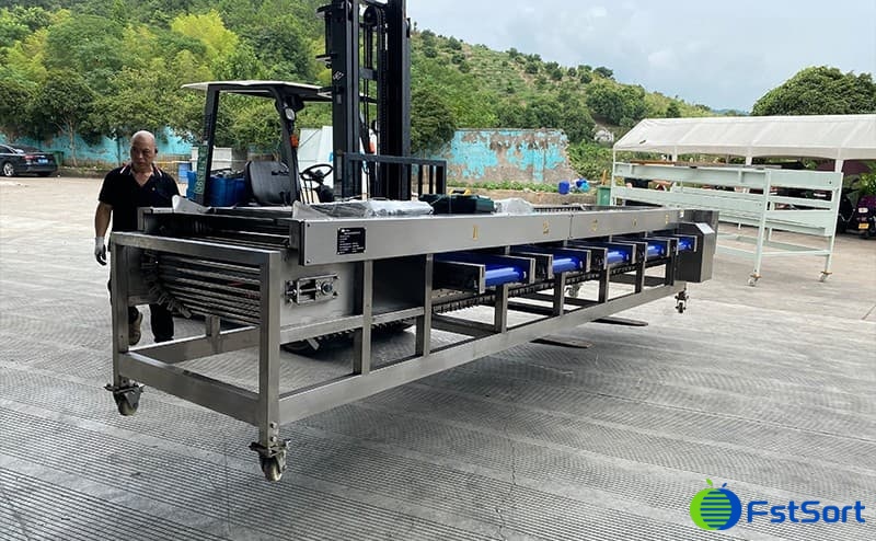 date grading machine.jpg date grading machine.jpg